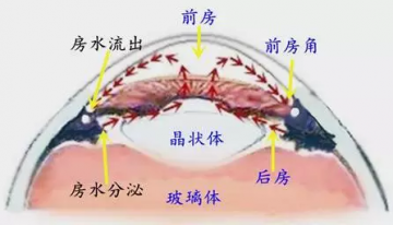 50%盲人居然因青光眼致盲，5大人群需警惕！